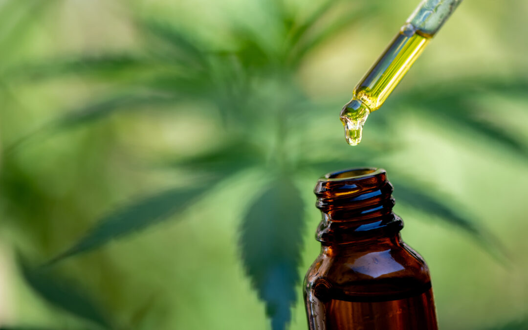 The Growing Popularity of CBD Pain Treatment in Therapy