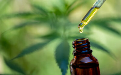 The Growing Popularity of CBD Pain Treatment in Therapy