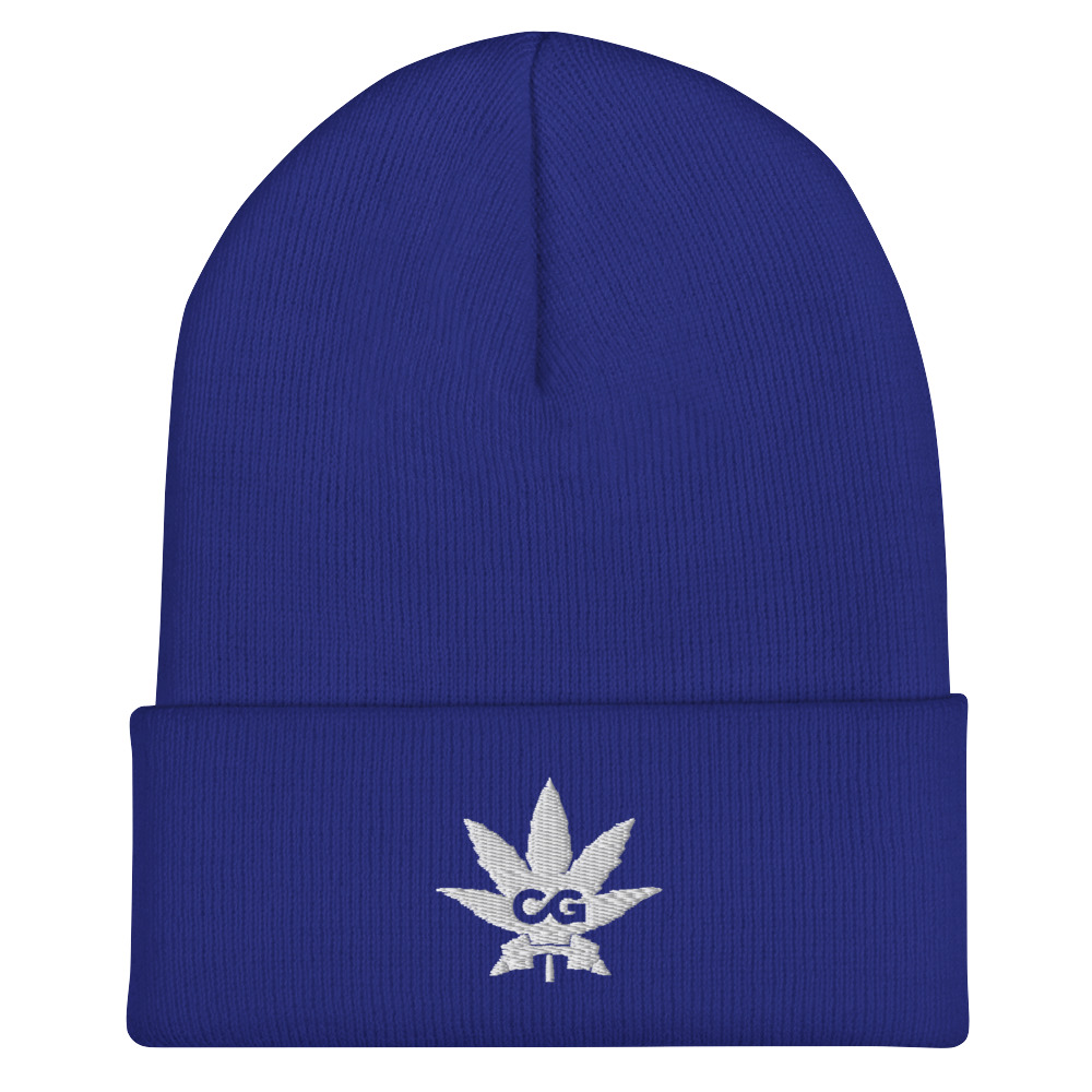 cuffed beanie royal front 65b3e1aa41640