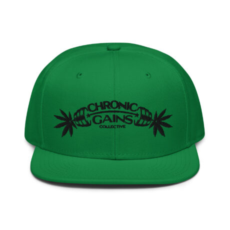 snapback kelly green front 65d9bd374d540