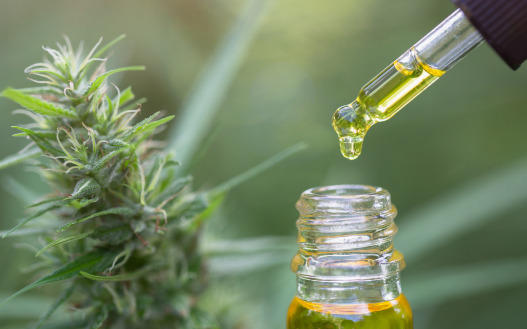 Best CBD for Joint Pain Relief: Top Brands to Know