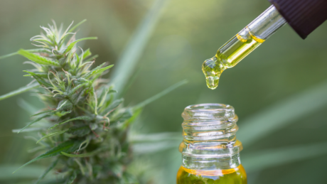 cannabinoid oil