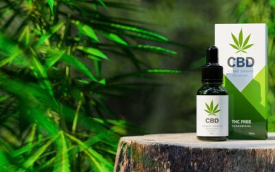 How Climate Affects CBD Pain Treatment